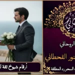 أرقام شيوخ ثقه لرد المطلقة
