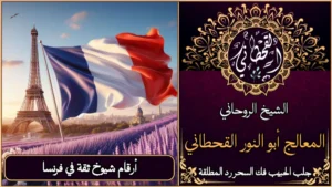 أرقام شيوخ ثقة في فرنسا